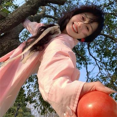 摇滚藏獒